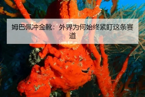 mu-ba-pei-chong-jin-xue-wai-jie-wei-he-shi-zhong-jin-ding-zhe-tiao-sai-dao-2-577.jpg